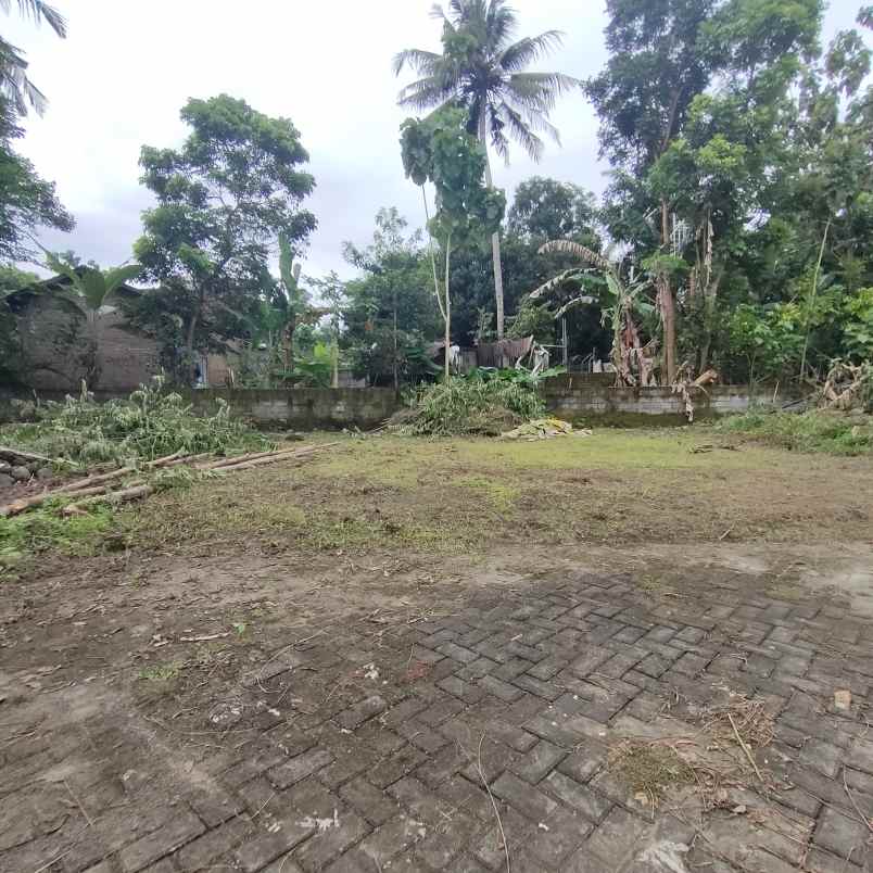 dijual tanah jingin margomulyo kec