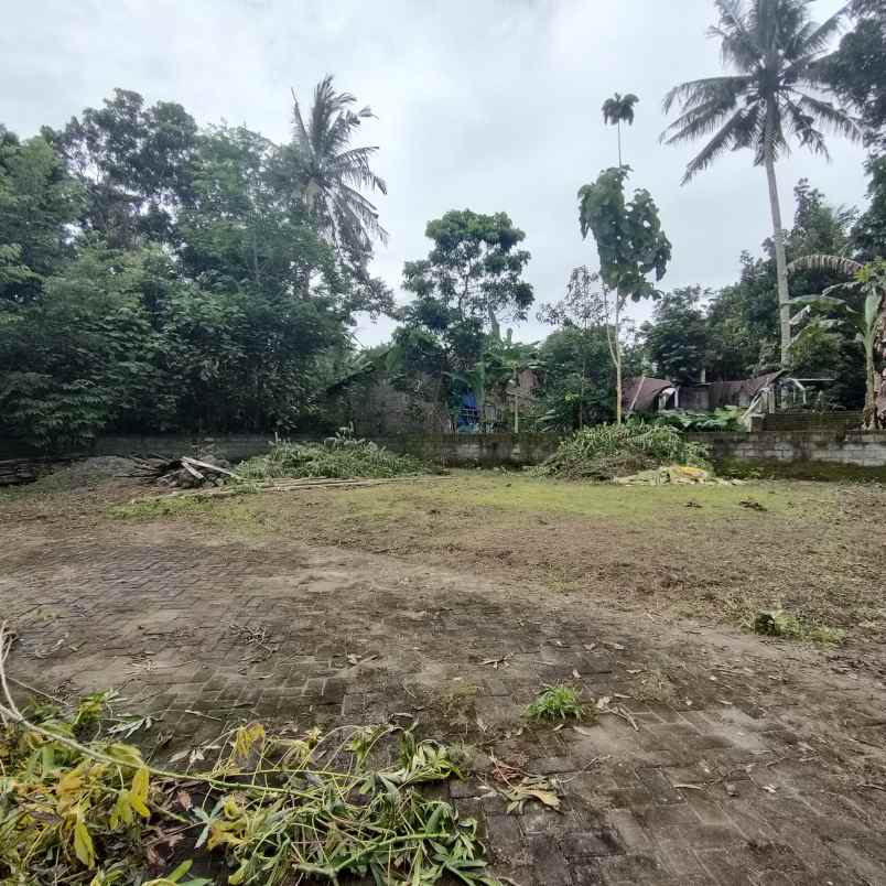 dijual tanah jingin margomulyo kec