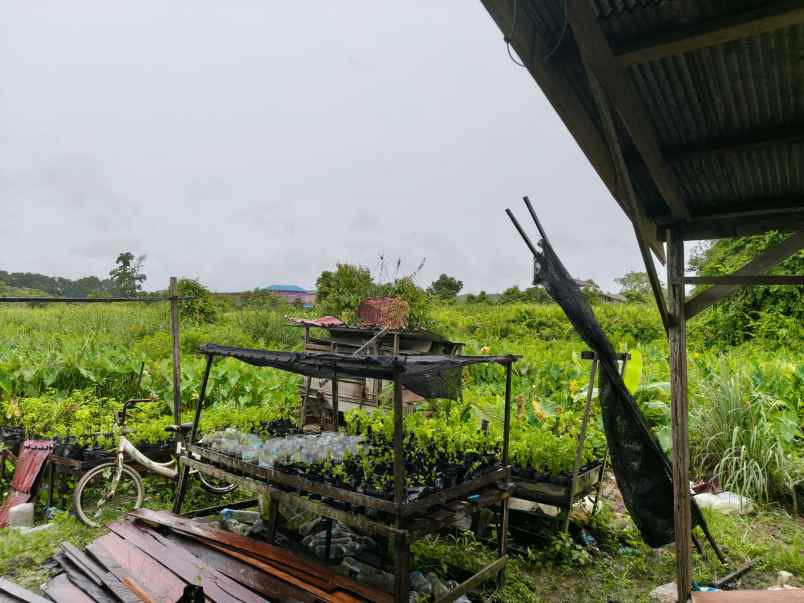 dijual tanah jl elang gg elang 12