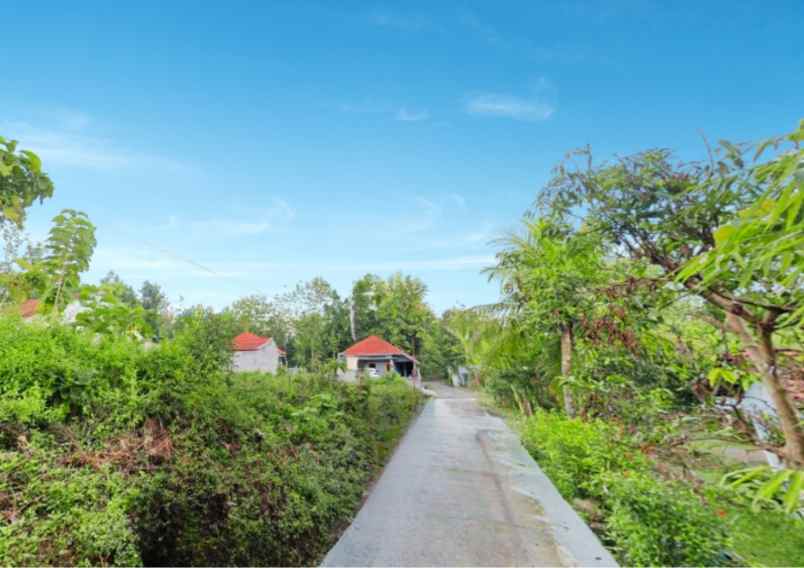 dijual tanah jl nasional jogja wates