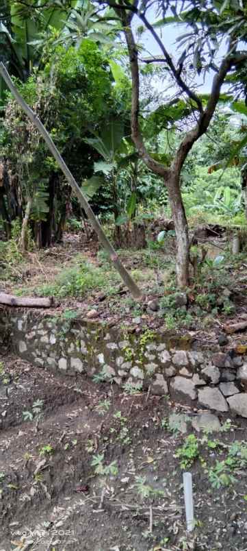 dijual tanah jl raya jalaksana no 54 rt