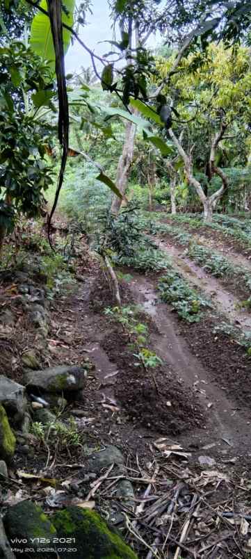 dijual tanah jl raya jalaksana no 54 rt