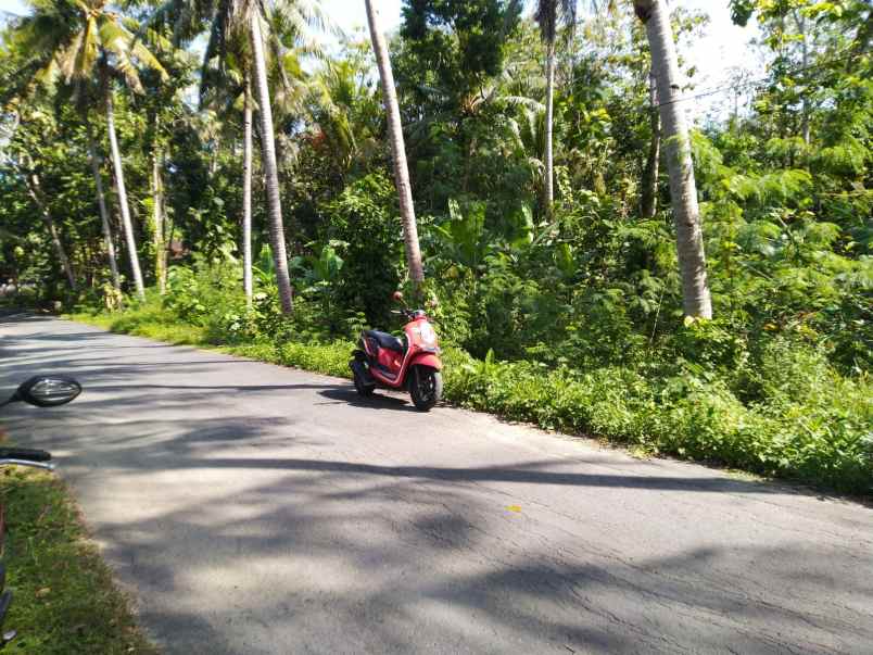 dijual tanah jurang jero giri peni