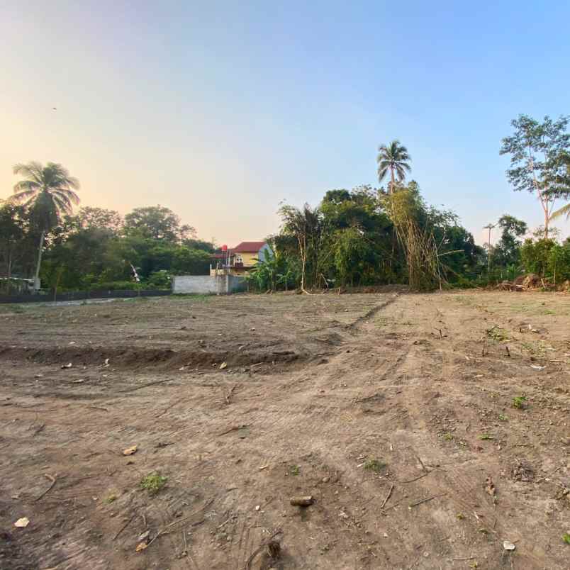 dijual tanah kadisono margorejo tempel