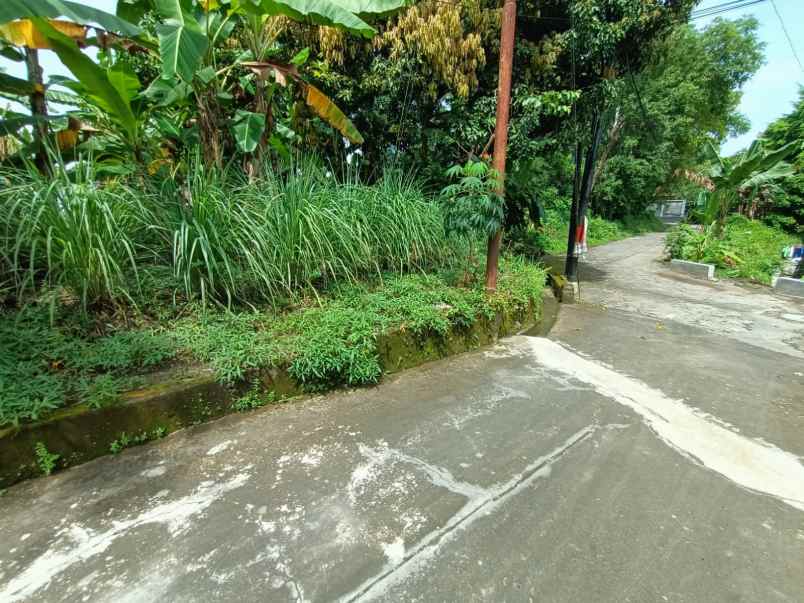 dijual tanah kalongan maguwoharjo kec