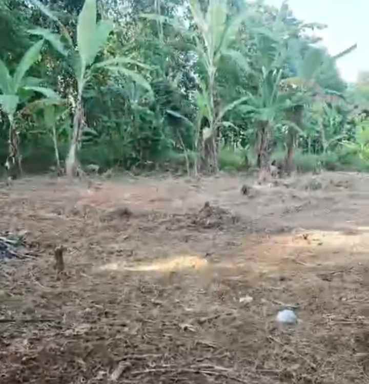 dijual tanah kebun akses jalan mobil