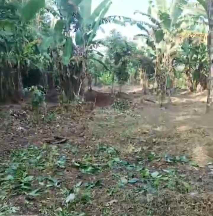 dijual tanah kebun akses jalan mobil