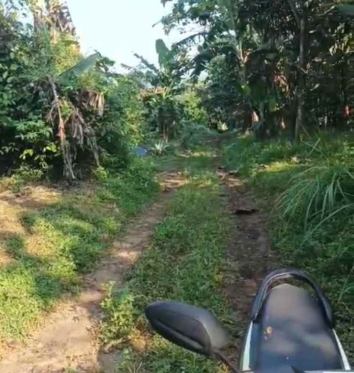 dijual tanah kebun akses jalan mobil