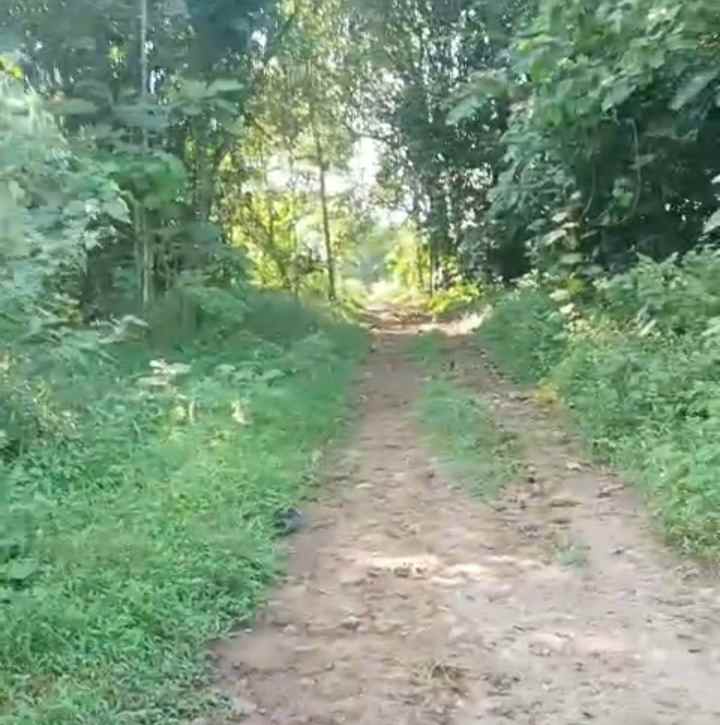 dijual tanah kebun akses jalan mobil
