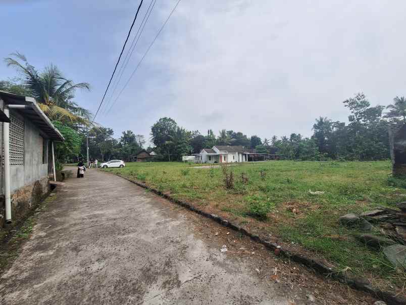 dijual tanah kedungprahu sendangrejo