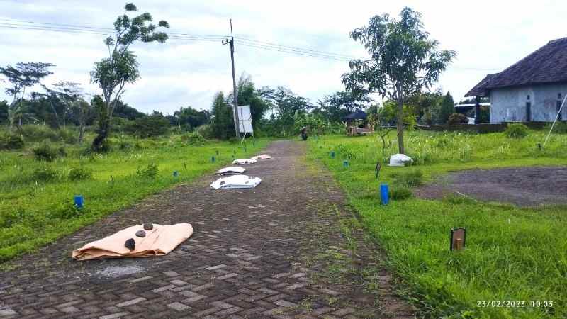 dijual tanah kemuning sumbersuko kec