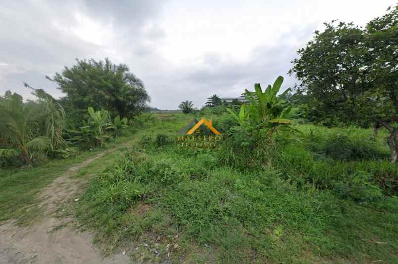 dijual tanah kosong jalan irian barat sampali gg geor