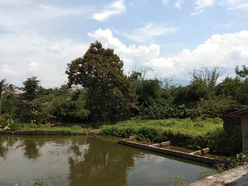 dijual tanah kp cihideung hilir 1 km