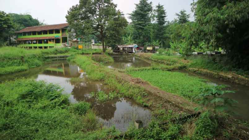 dijual tanah kp cihideung hilir 1 km