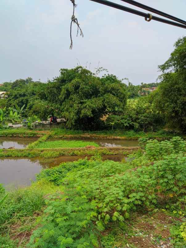 dijual tanah kp cihideung hilir 1 km