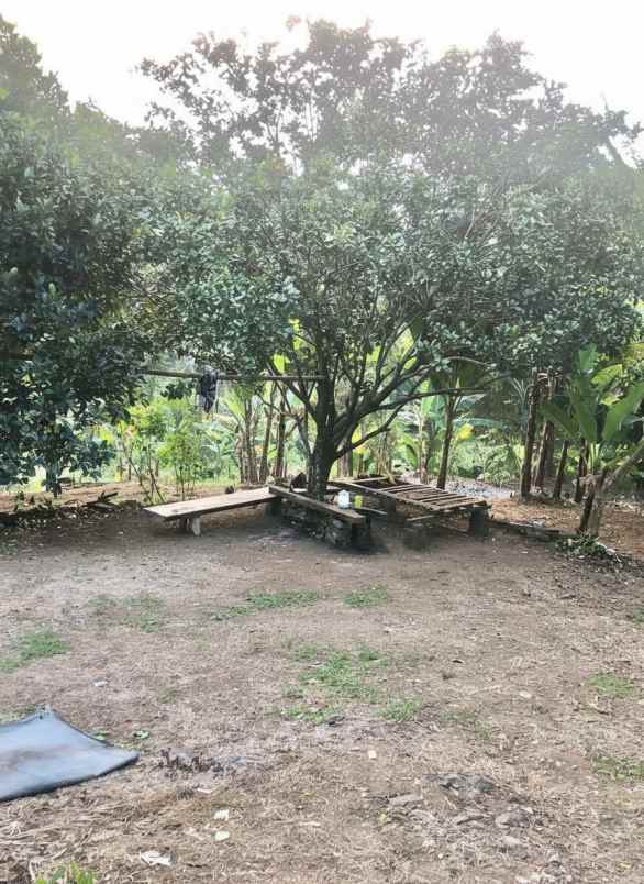 dijual tanah leuwibatu kabupaten bogor