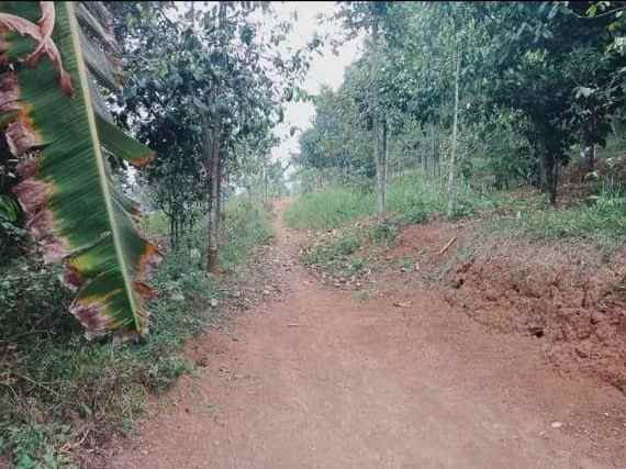 dijual tanah leuwibatu kabupaten bogor