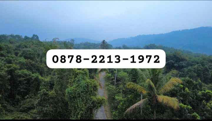 dijual tanah leuwisadeng leuwiliang