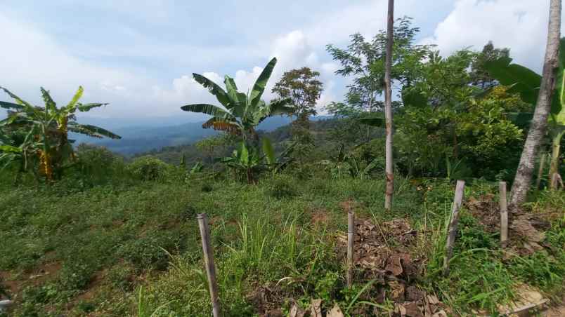 dijual tanah margalaksana