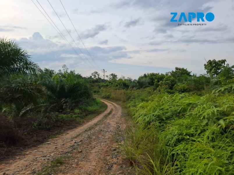 dijual tanah nagari dusun tangah solok