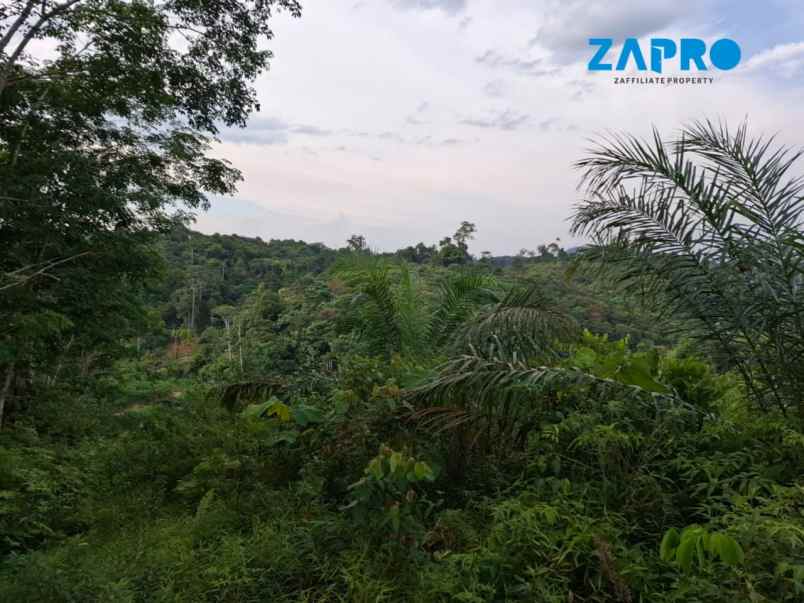 dijual tanah nagari dusun tangah solok