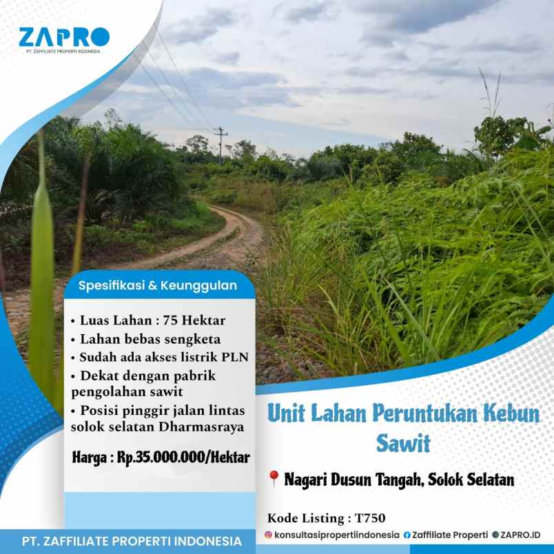 dijual tanah nagari dusun tangah solok