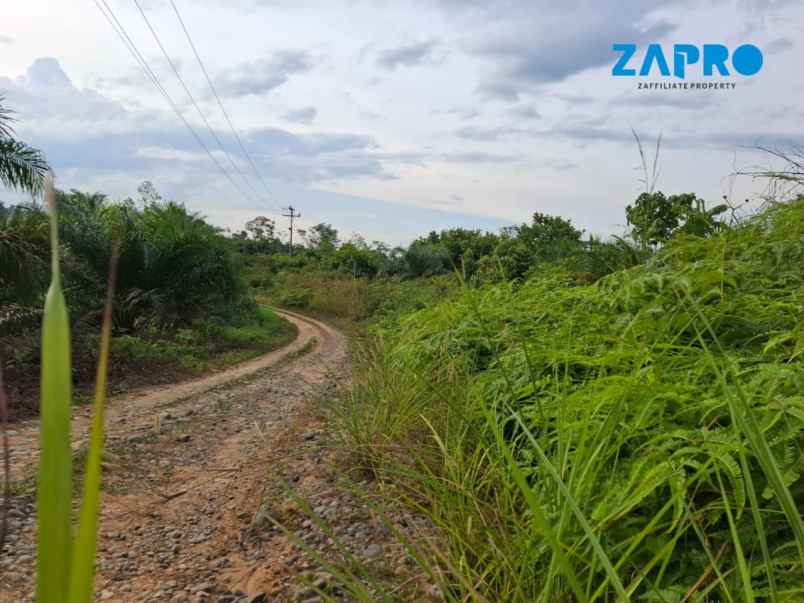 dijual tanah nagari dusun tangah solok