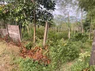 dijual tanah pabuaran sukamakmur puncak dua