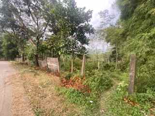 dijual tanah pabuaran sukamakmur puncak dua