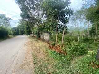 dijual tanah pabuaran sukamakmur puncak dua