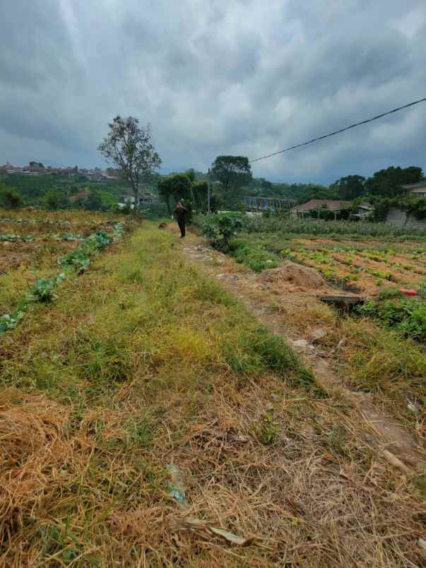 dijual tanah pandanrejo