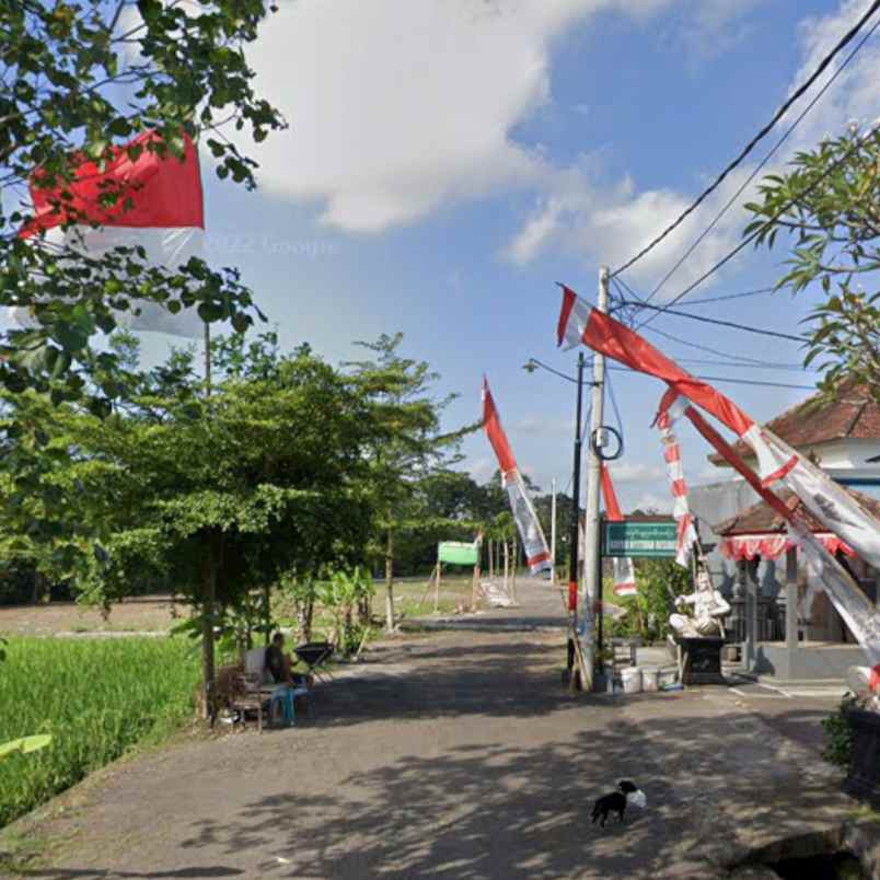 dijual tanah pantai kedungu