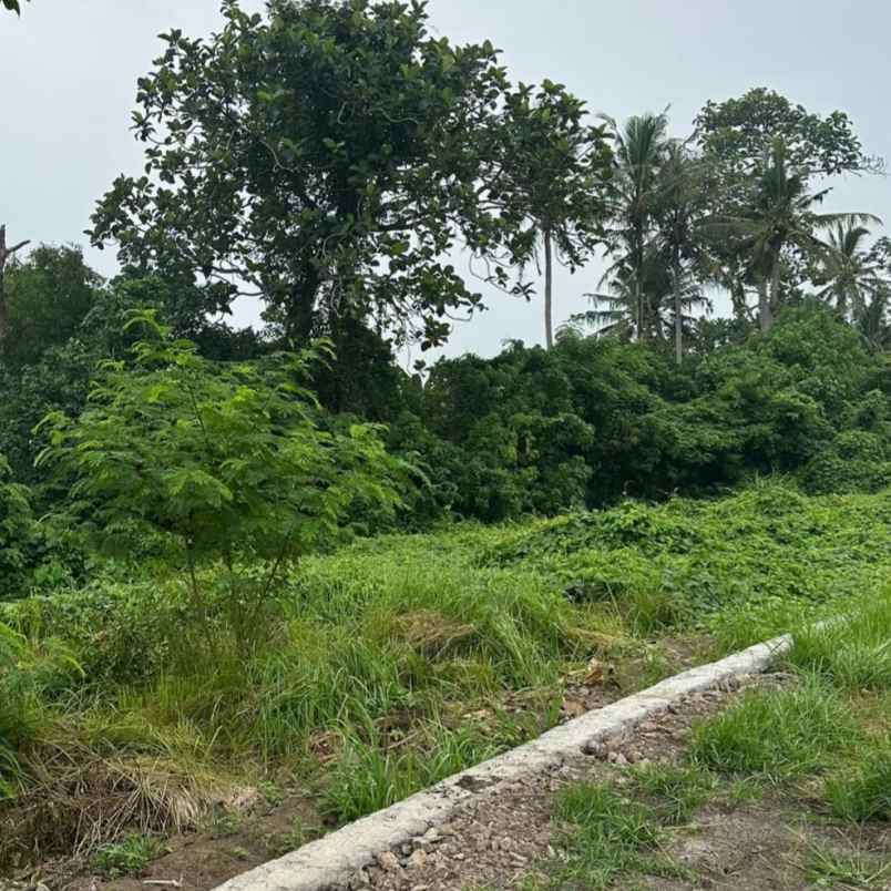 dijual tanah pantai kedungu