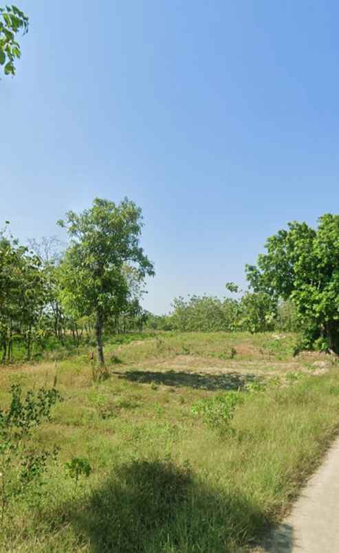 dijual tanah pasir ipis