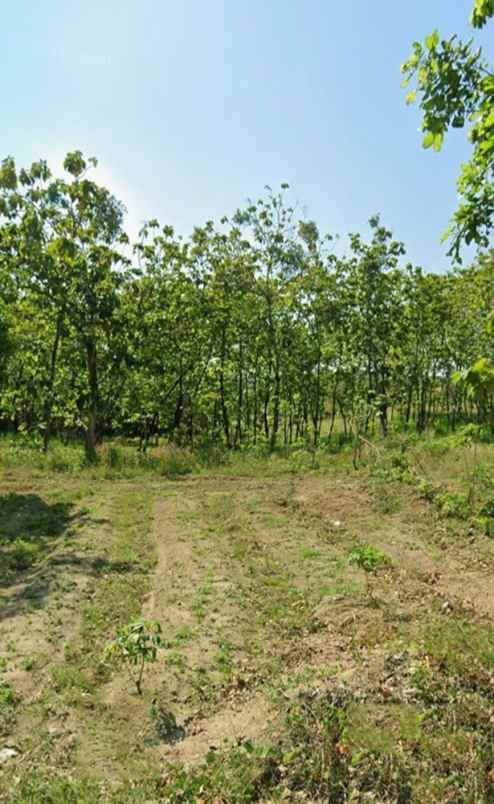 dijual tanah pasir ipis