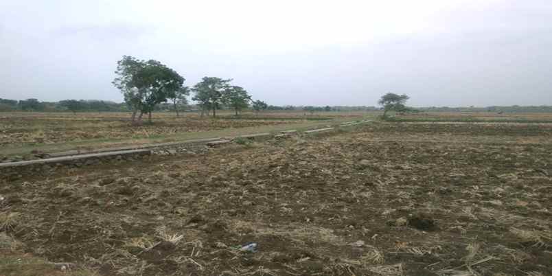 dijual tanah pasir ipis