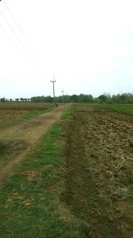 dijual tanah pasir ipis