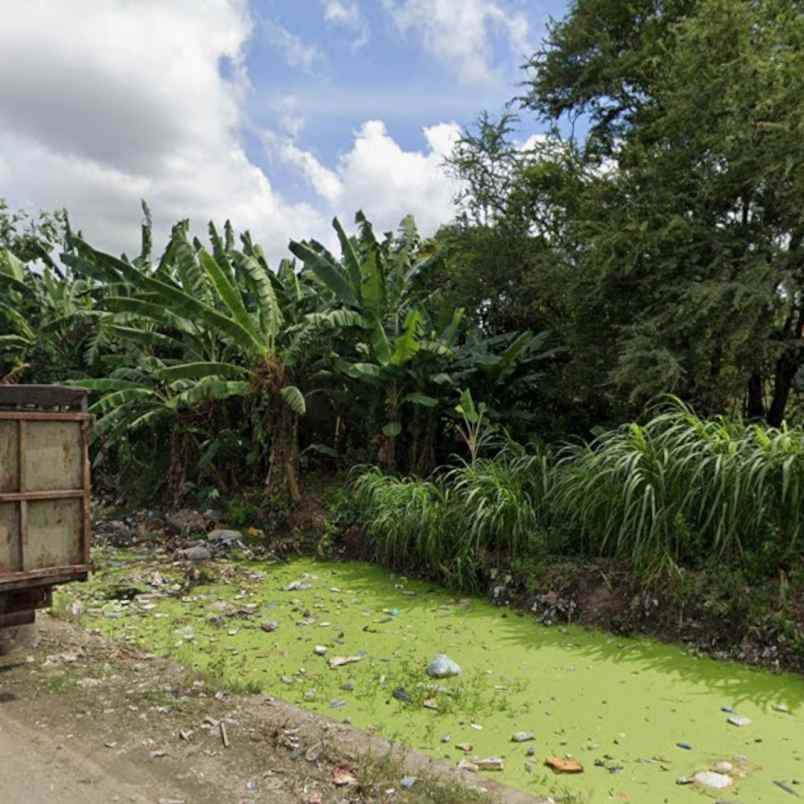 dijual tanah pedungan