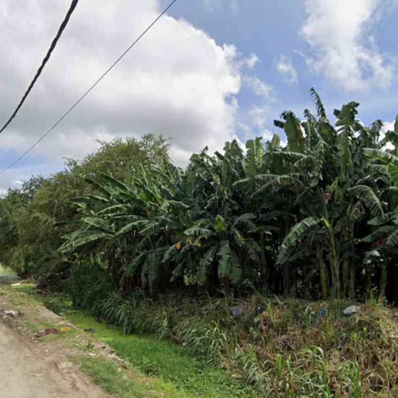 dijual tanah pedungan