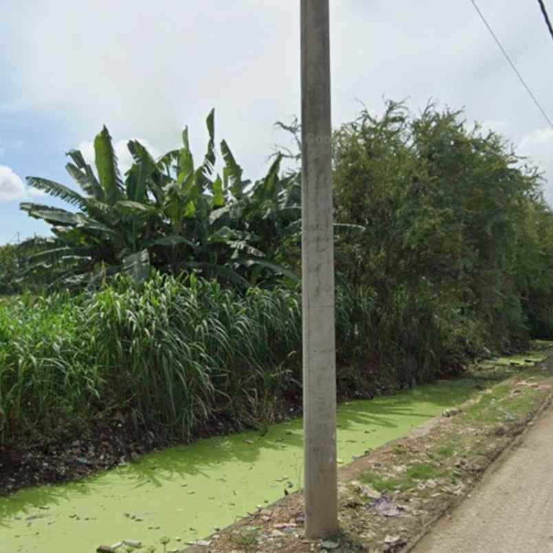 dijual tanah pedungan