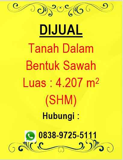 dijual tanah persawahan pinggir jalan