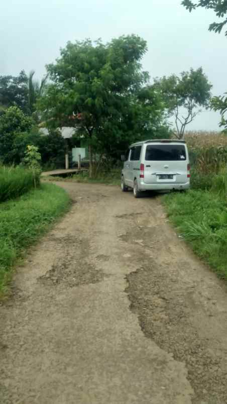 dijual tanah persawahan pinggir jalan