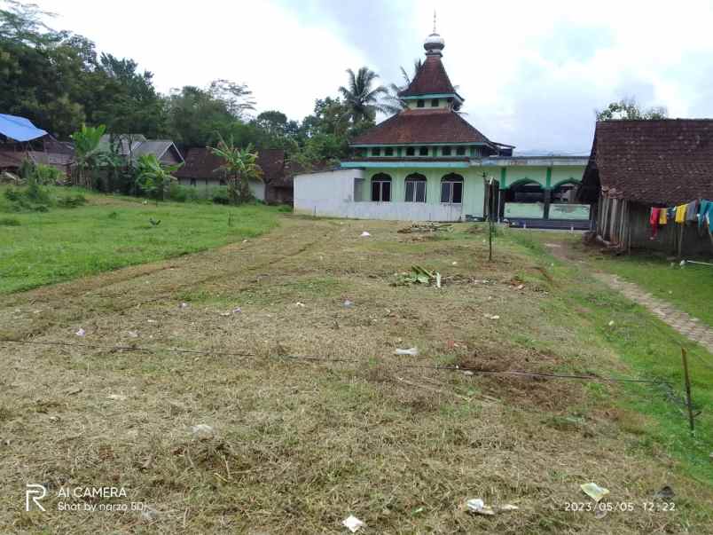 dijual tanah salaman