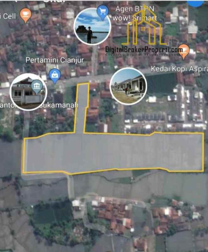 dijual tanah sawah di sukamanah cianjur