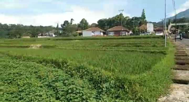dijual tanah sawah strategis pinggir jalan desa wusata