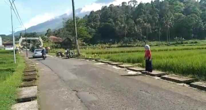 dijual tanah sawah strategis pinggir jalan desa wusata