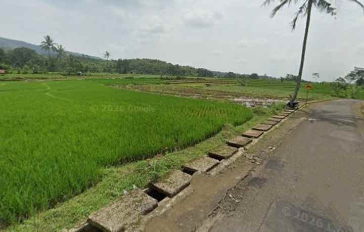 dijual tanah sawah strategis pinggir jalan desa wusata