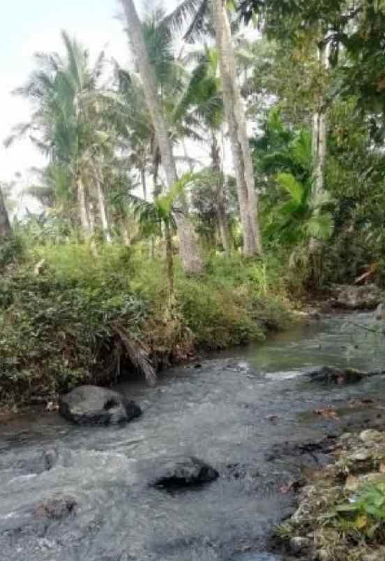 dijual tanah selemadeg tabanan bali