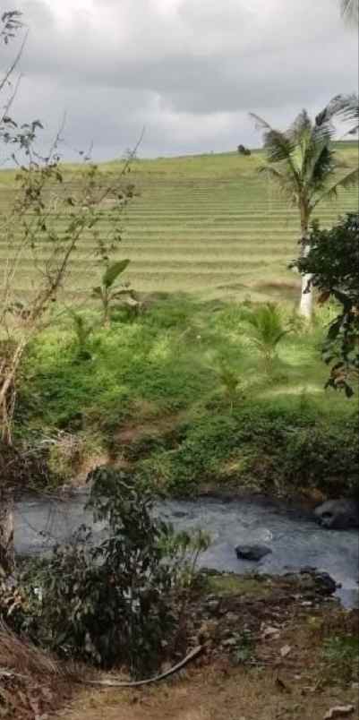 dijual tanah selemadeg tabanan bali