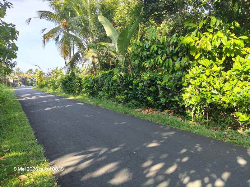 dijual tanah selemadeg tabanan bali